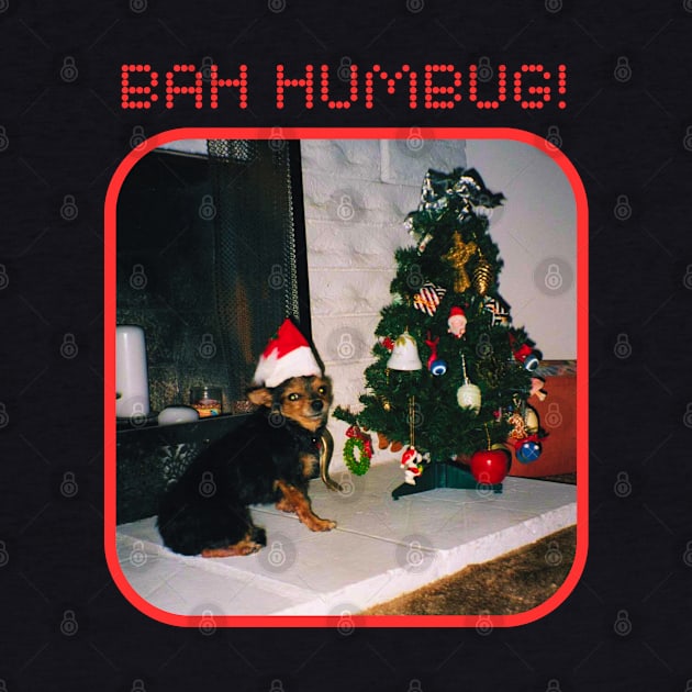 "Bah Humbug" Dog by The Golden Palomino